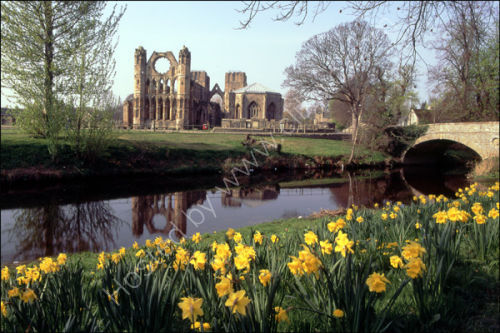 Spring in Elgin.